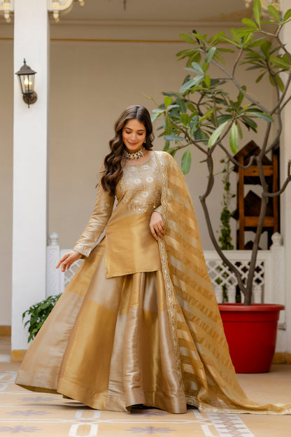 Golden Zari Elegance Viscose Embroidered Suit Set