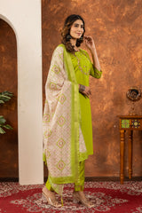 Parrot Green Marina Silk Multi Embroidered Suit Set