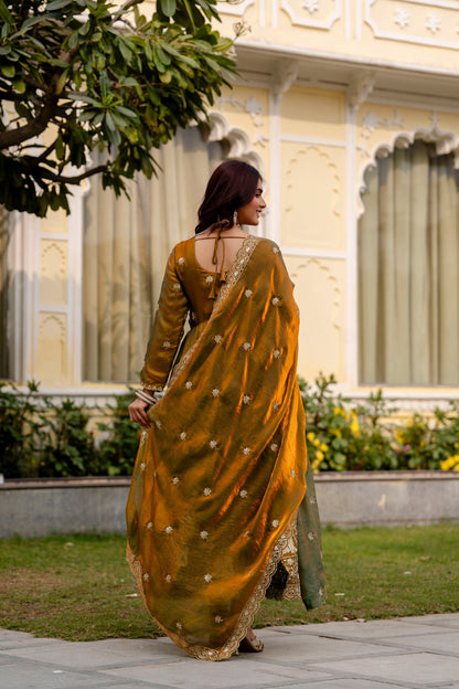 Olive Emerald Royale Anarkali Gown Set